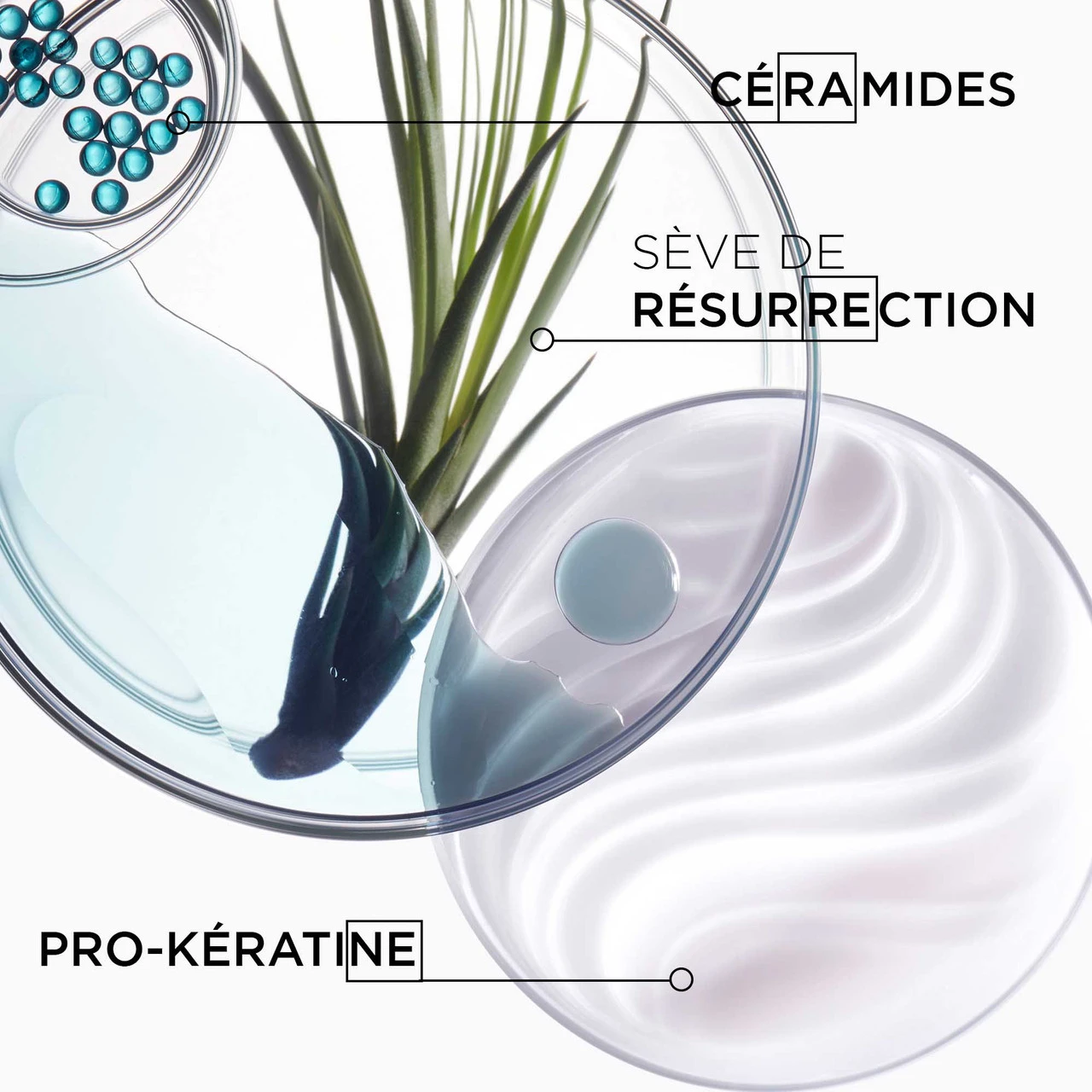 Bain Force Architecte Kérastase 250ml 4 Bain Force Architecte Kérastase 250ml – Image 2