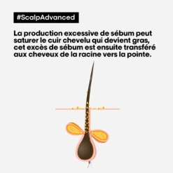 Argile 2-en-1 Purifiante Anti Gras Scalp Advanced L'Oréal 500ml -Produits Capillaires Boutique scalp advanced anti gras se bum 94024.1684847776