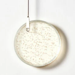 Shampooing Triphasic René Furterer 600ml -Produits Capillaires Boutique triphasic 78391.1691067752